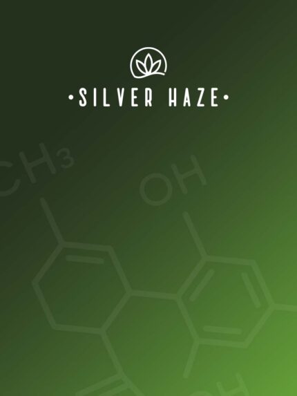 Silver-Haze-cover