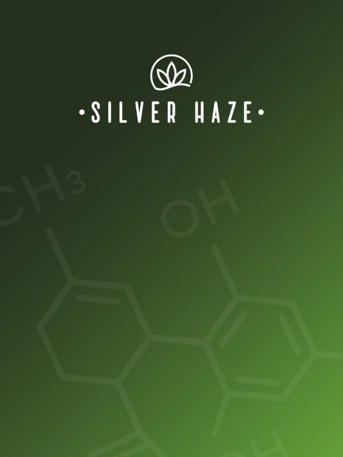 Silver-Haze-cover