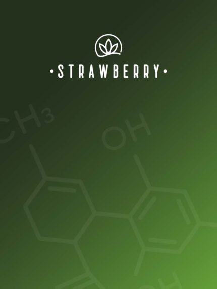Strawberry-cover