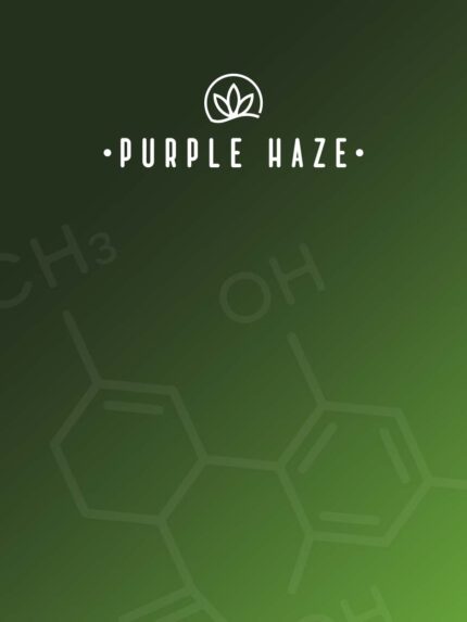 Purple-Haze-cover