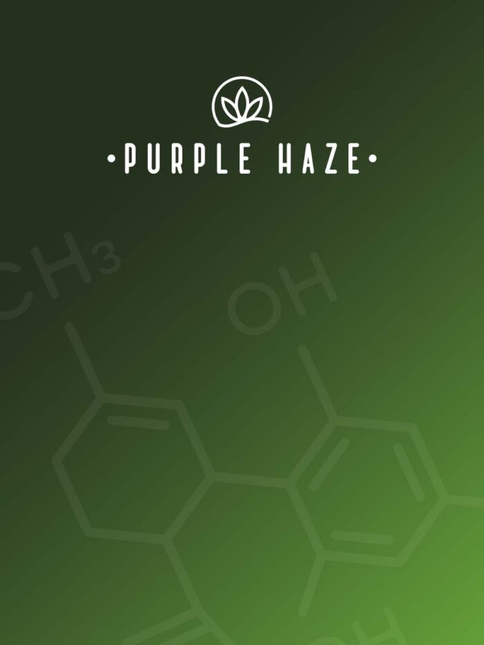 Purple-Haze-cover
